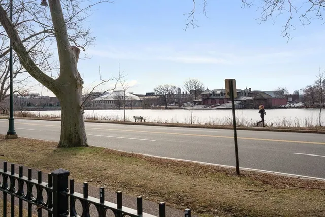 a view of a field with an trees