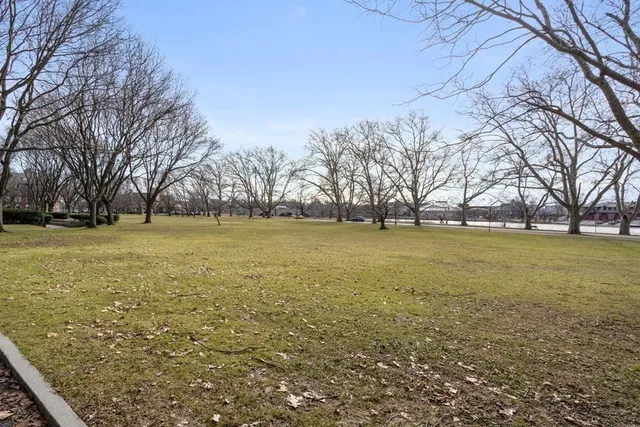 a big yard with lots of trees