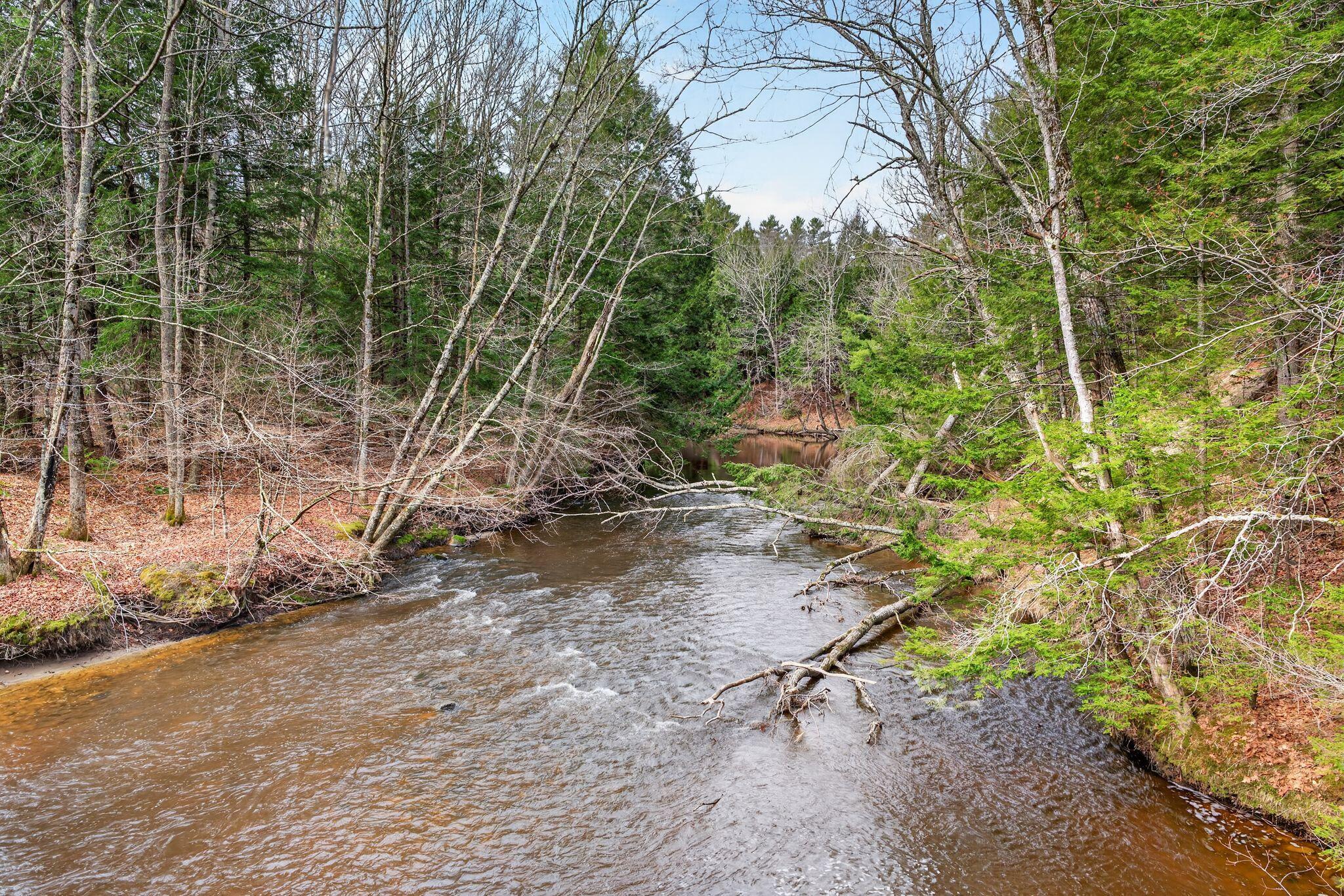 168 Harding Bridge Road Gorham, ME 04038 - Photo 45 of 50 35_DSC05119
