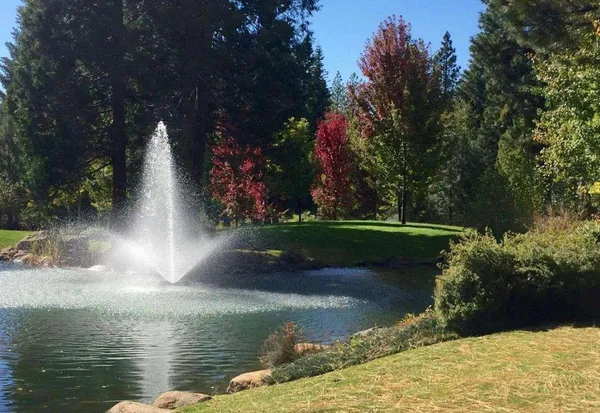 a view of pathway with a backyard