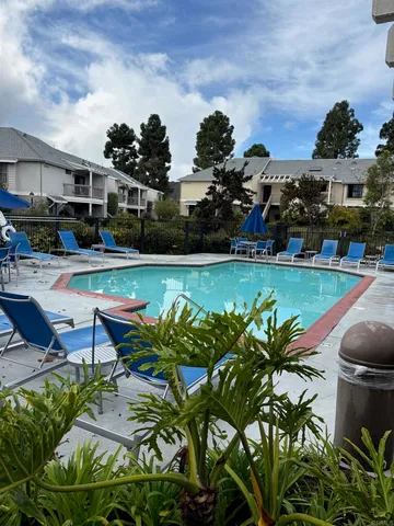 a view of a swimming pool with lawn chairs potted plants