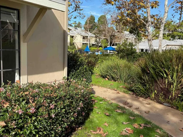 a view of a yard with plants