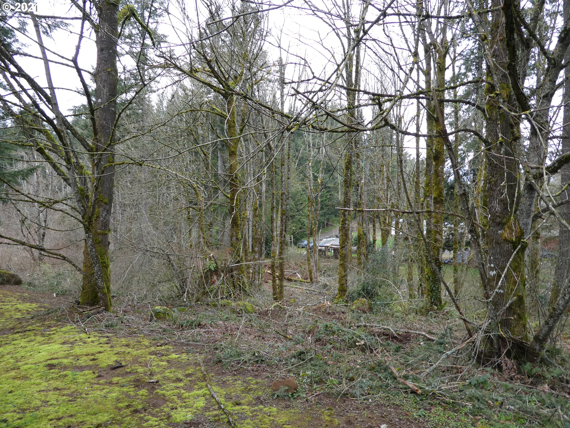 0 South Kamrath Road Oregon City, OR 97045 - Photo 1 of 5 Gallery Image 1