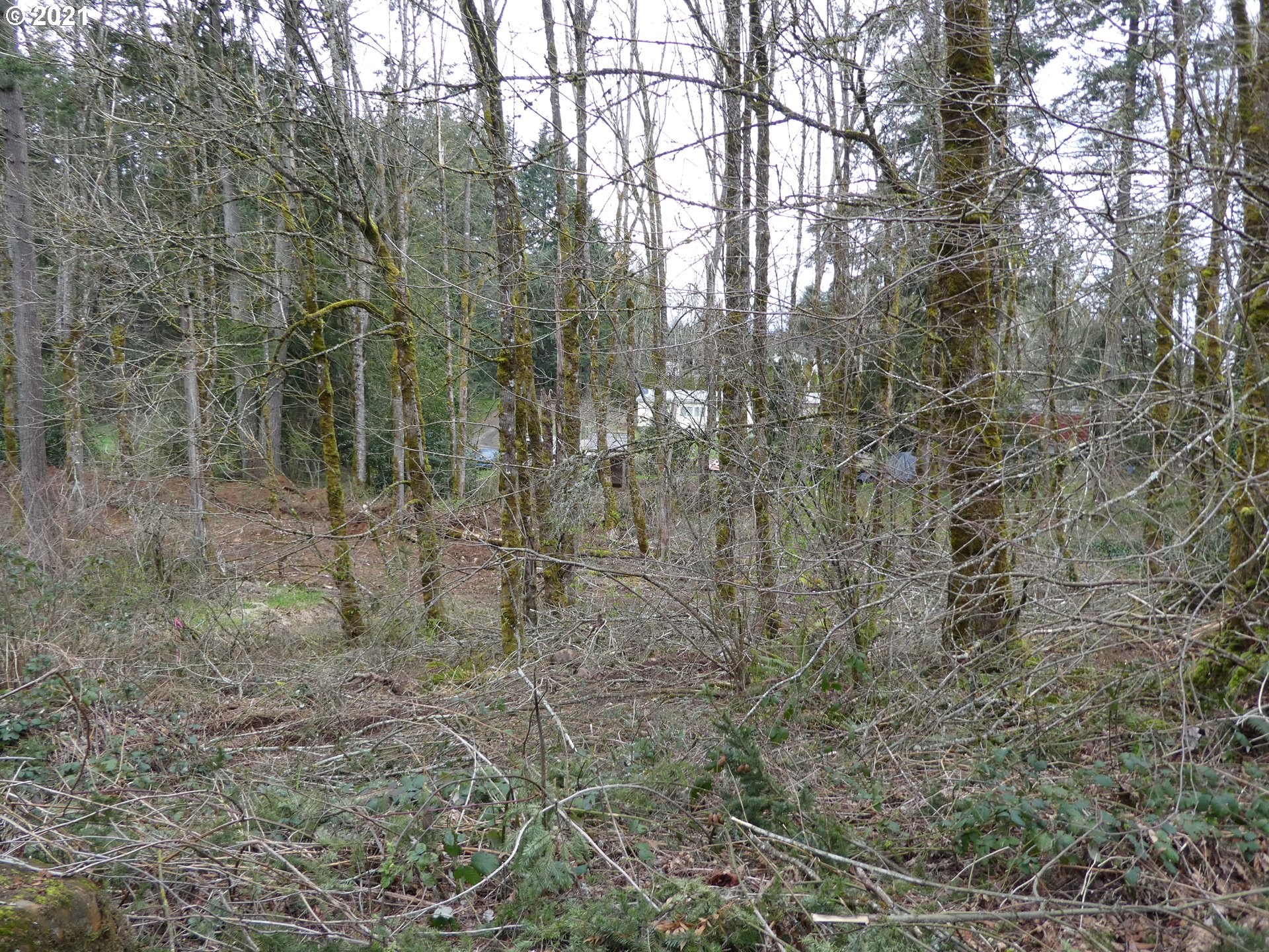0 South Kamrath Road Oregon City, OR 97045 - Photo 2 of 5 Gallery Image 2