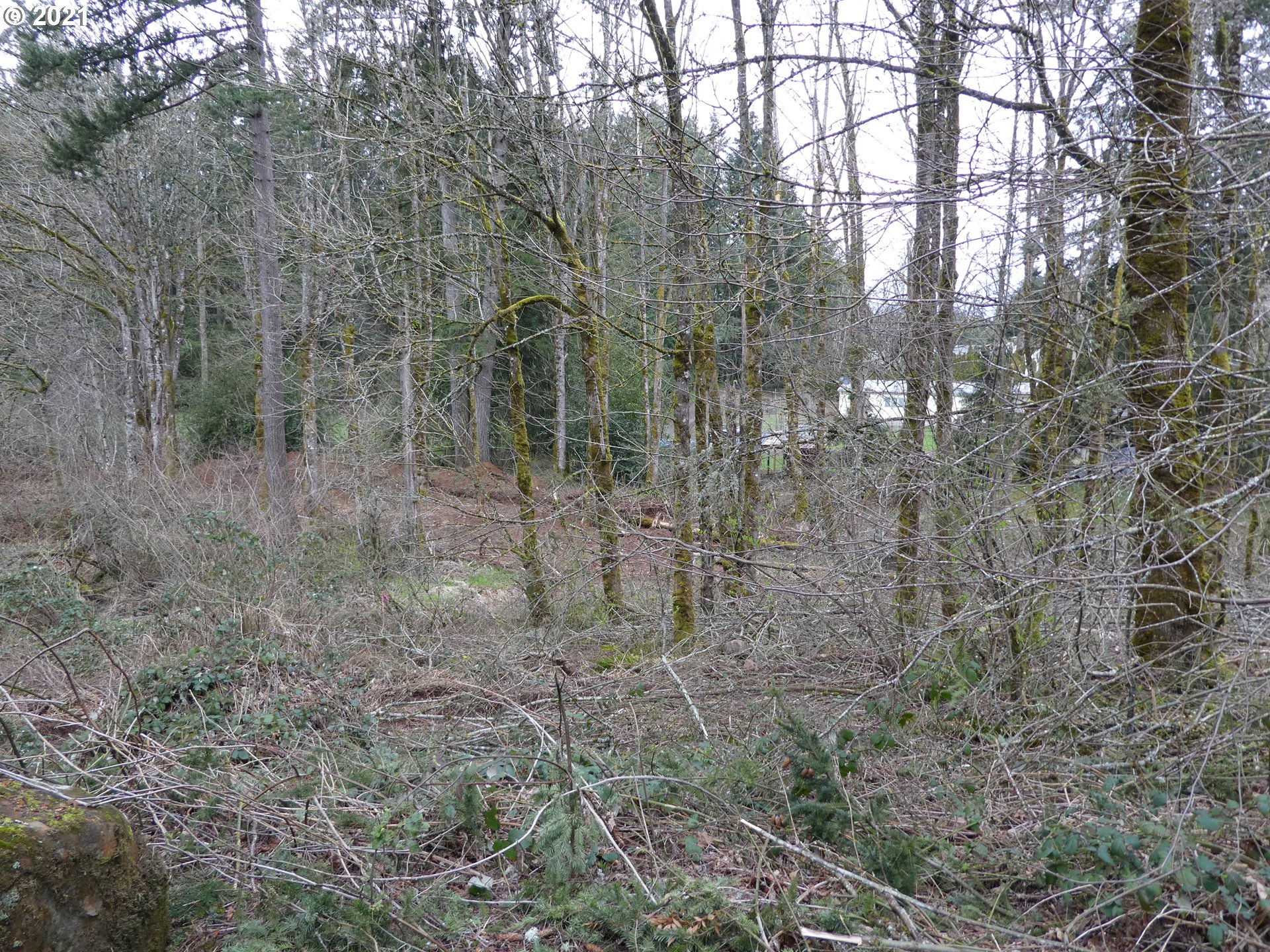 0 South Kamrath Road Oregon City, OR 97045 - Photo 3 of 5 Gallery Image 3