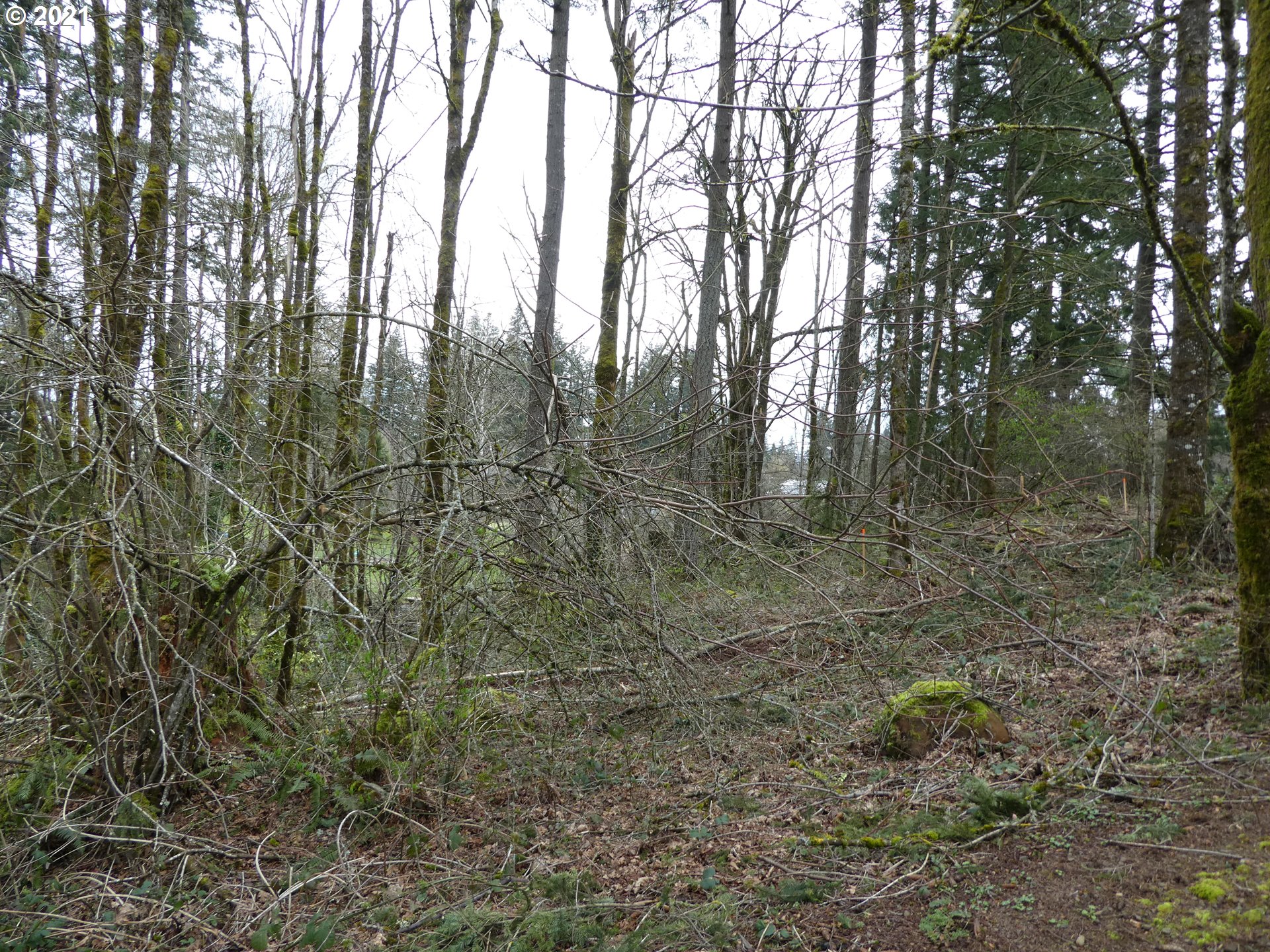 0 South Kamrath Road Oregon City, OR 97045 - Photo 4 of 5 Gallery Image 4