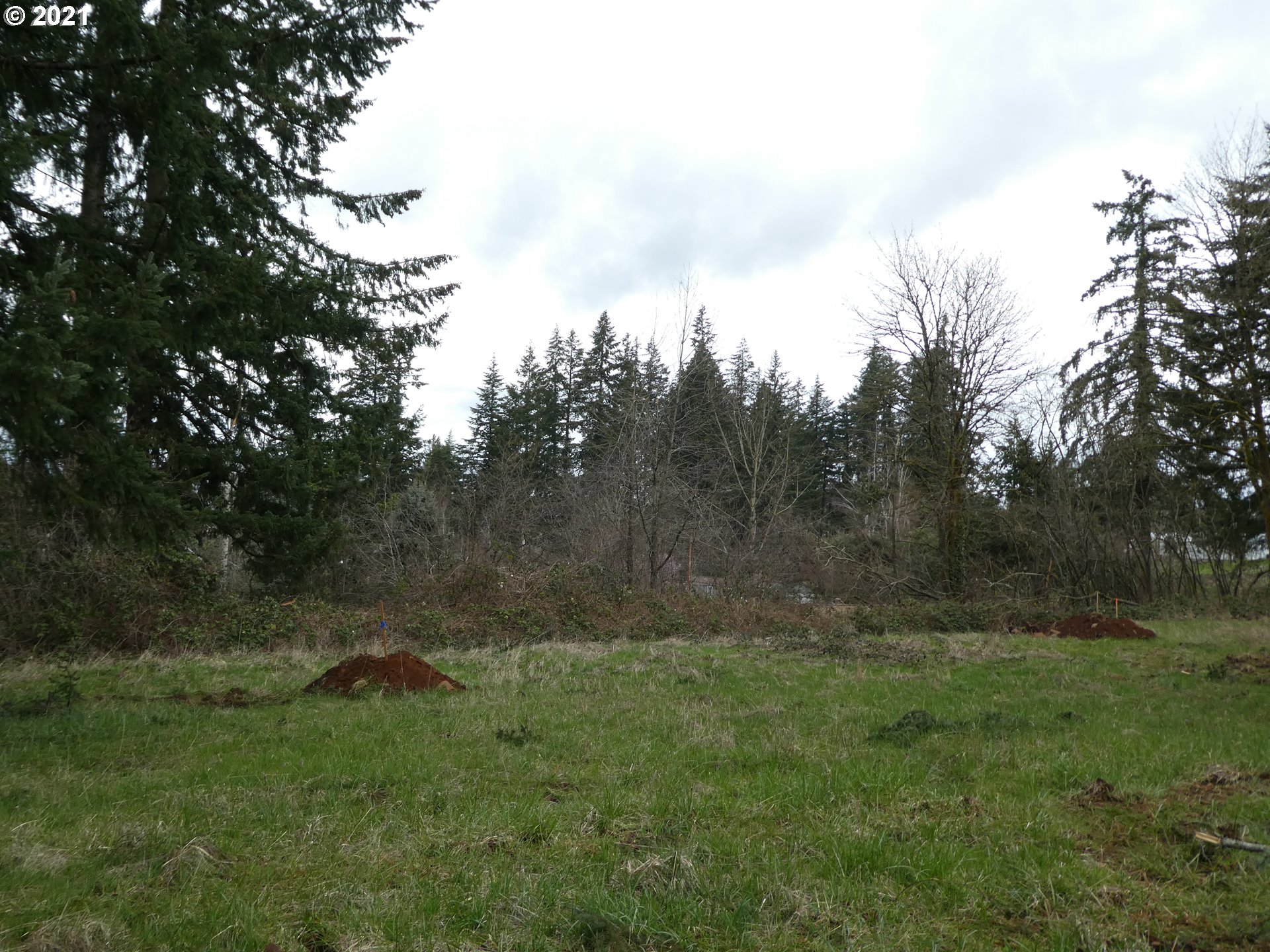0 South Kamrath Road Oregon City, OR 97045 - Photo 5 of 5 Gallery Image 5