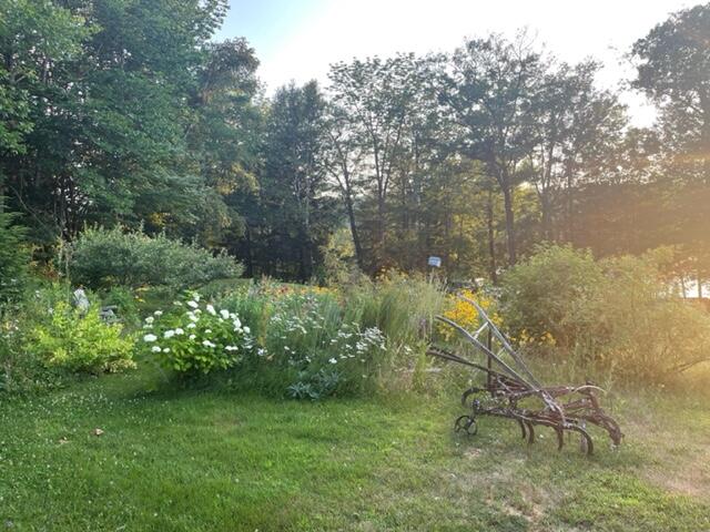 341 Gibbs Mill Road Livermore, ME 04253 - Photo 51 of 55 image11
