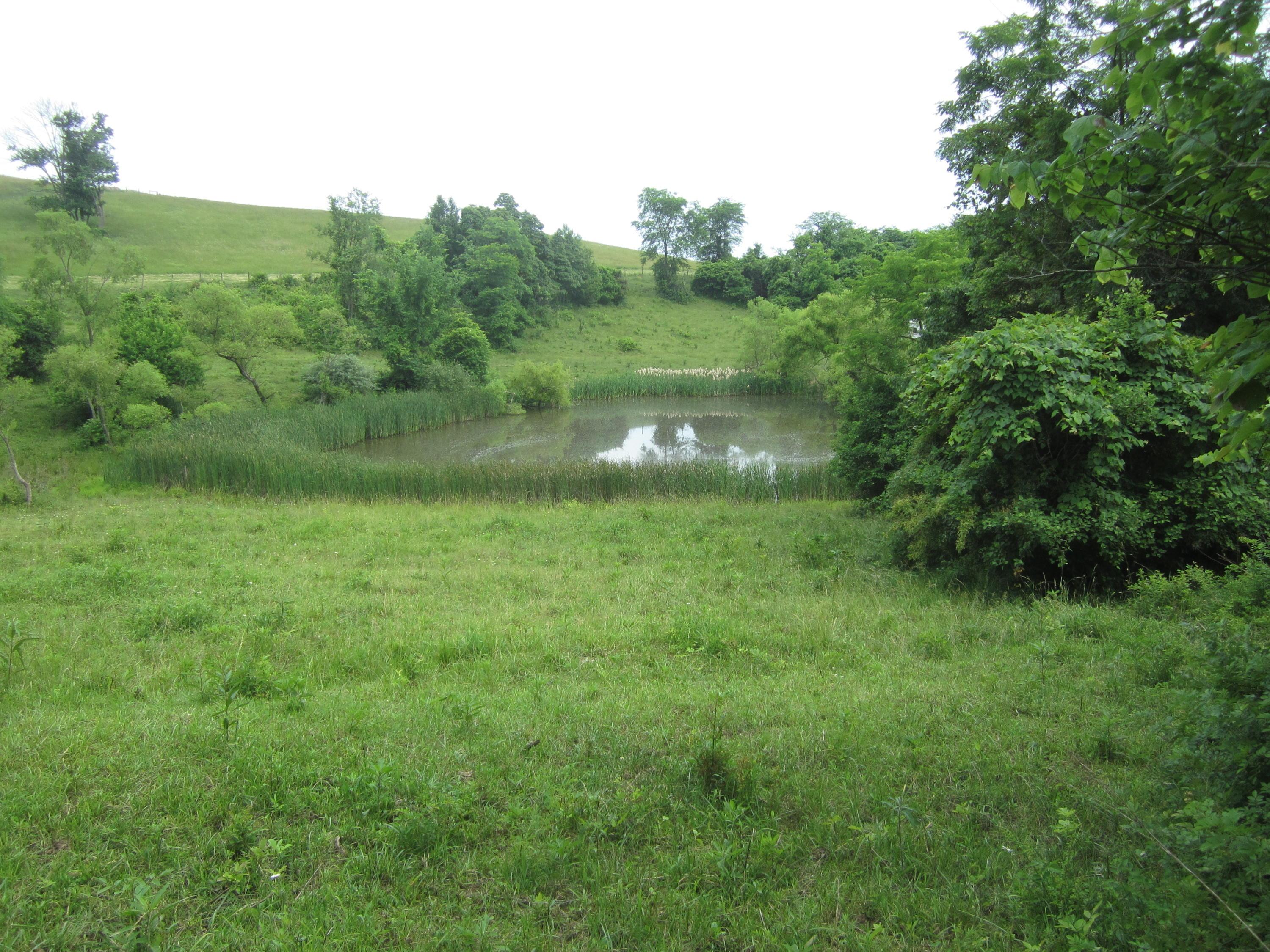 0 Shady Grove Road New Concord, OH 43762 - Photo 4 of 13