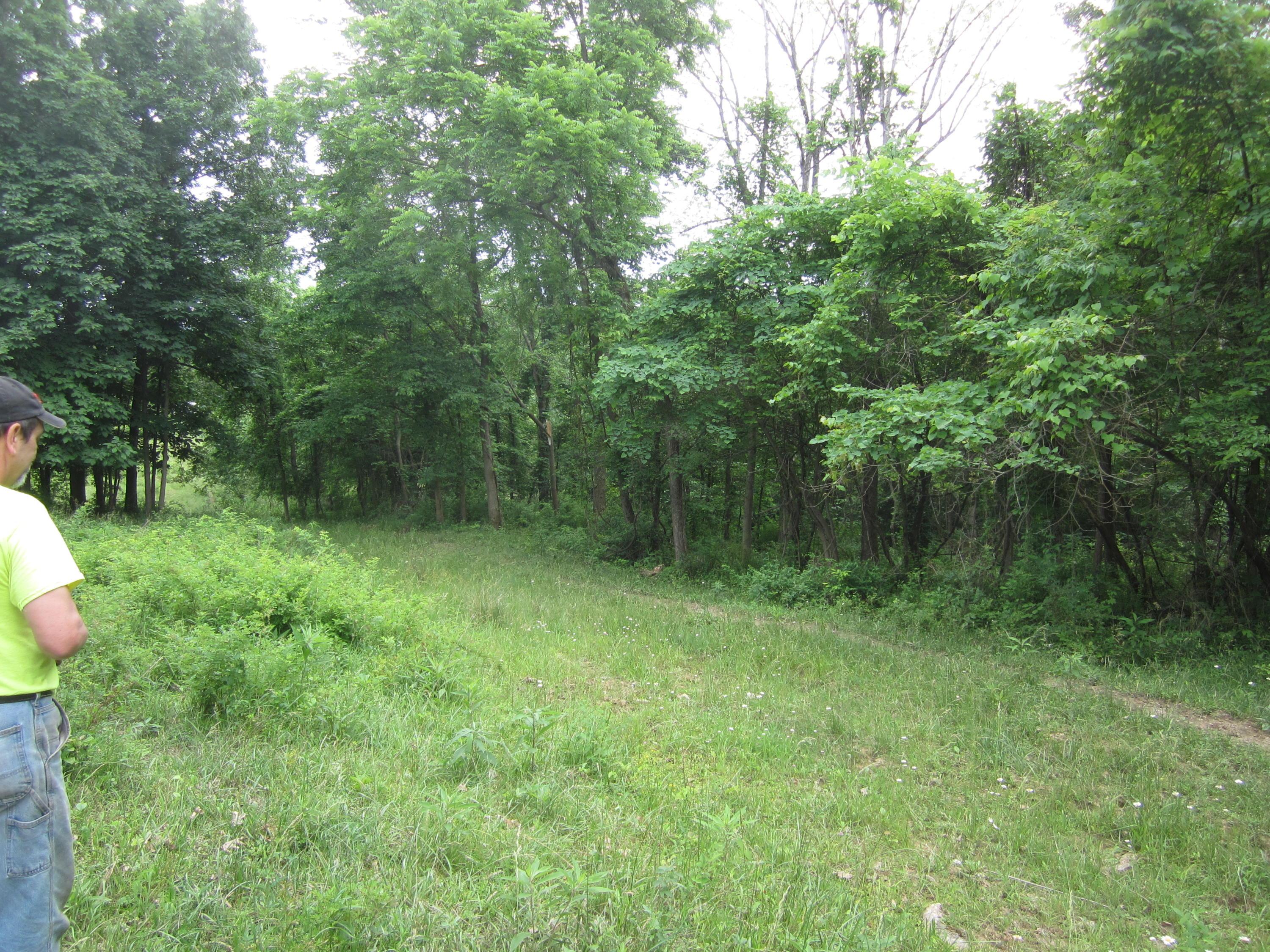 0 Shady Grove Road New Concord, OH 43762 - Photo 10 of 13