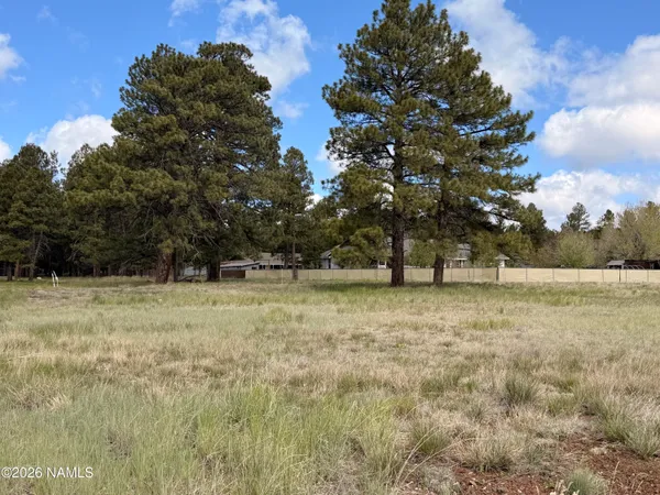 a view of backyard with green space