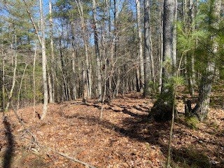 Tbd Lincoln Road, Unit 3 Galax, VA 24333 - Photo 47 of 64 Gallery Image 47