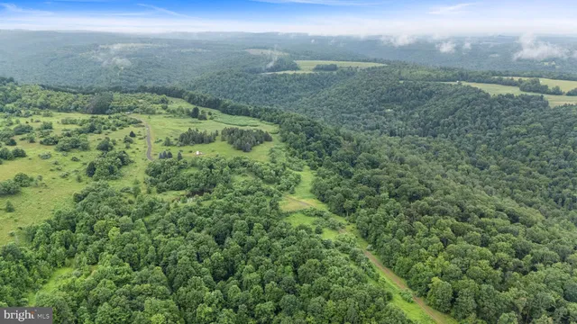 a view of a big yard with lots of green space