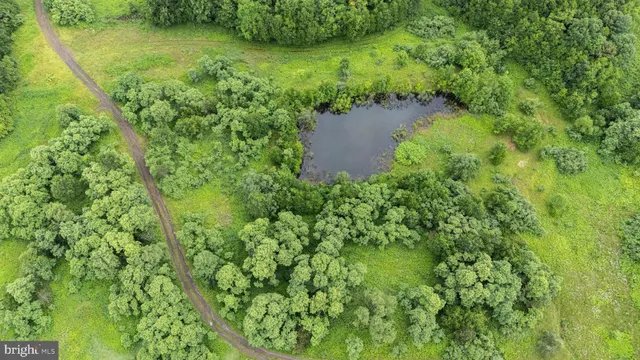 a view of a city with lush green forest