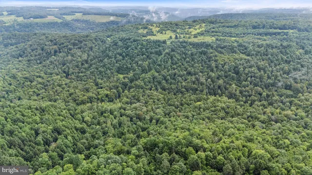 a view of a green field with lots of bushes