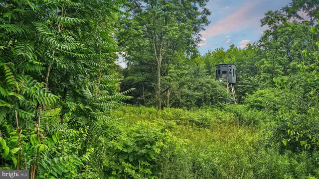 $289,575 | 91.32-acres Mahaffey Grampian Highway, Mahaffey, PA 15757