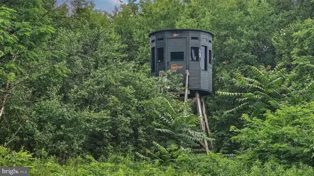 $289,575 | 91.32-acres Mahaffey Grampian Highway, Mahaffey, PA 15757