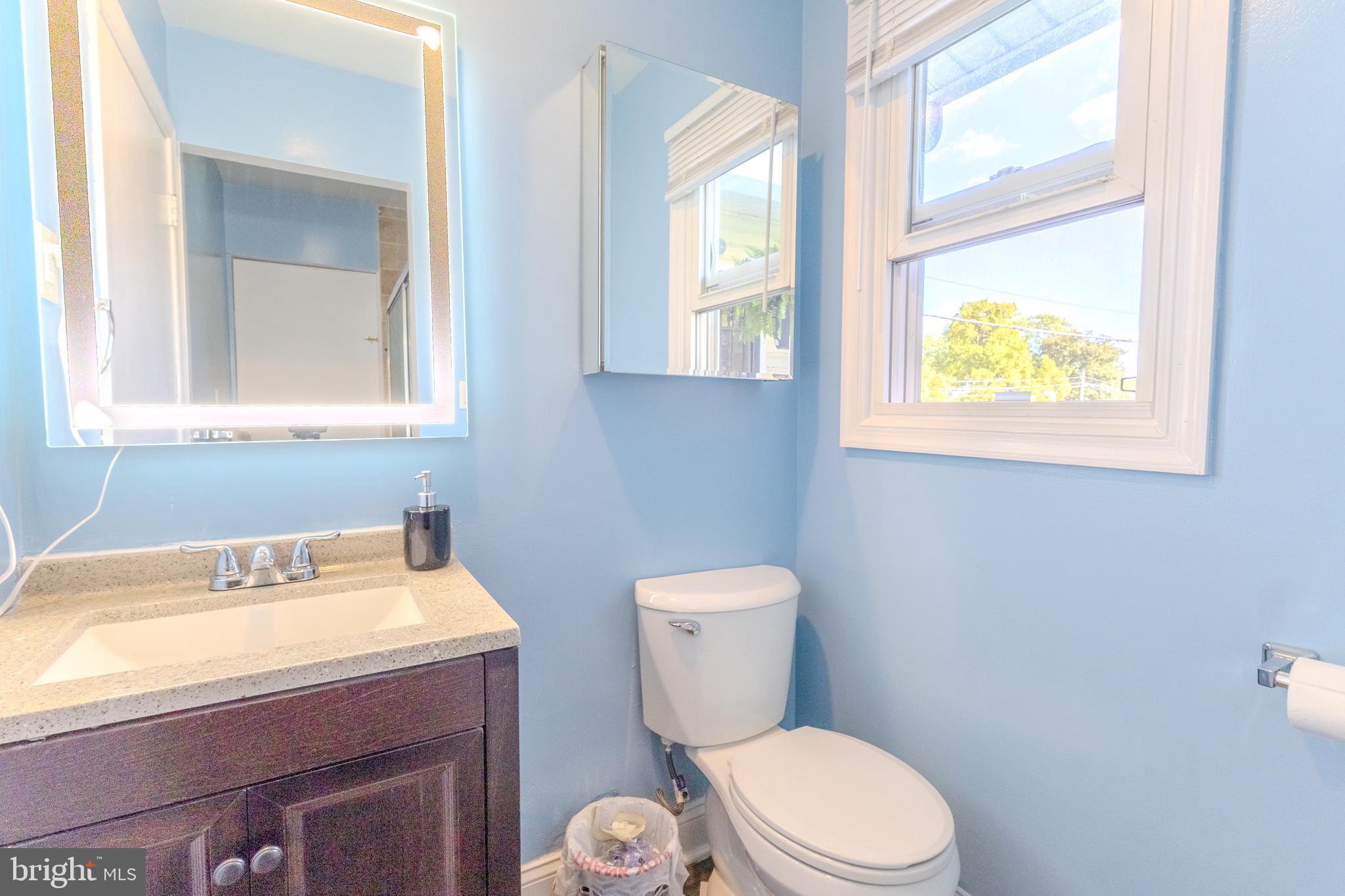 2106 North Rolling Road Windsor Mill, MD 21244 - Photo 20 of 26 a bathroom with a toilet a sink and a window