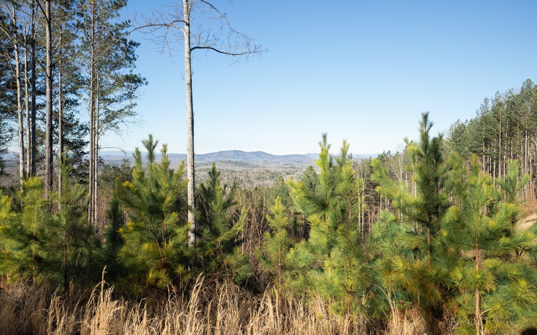 Lt253 Ridge Pointe Way Blairsville, GA 30512 - Photo 2 of 4 Additional View