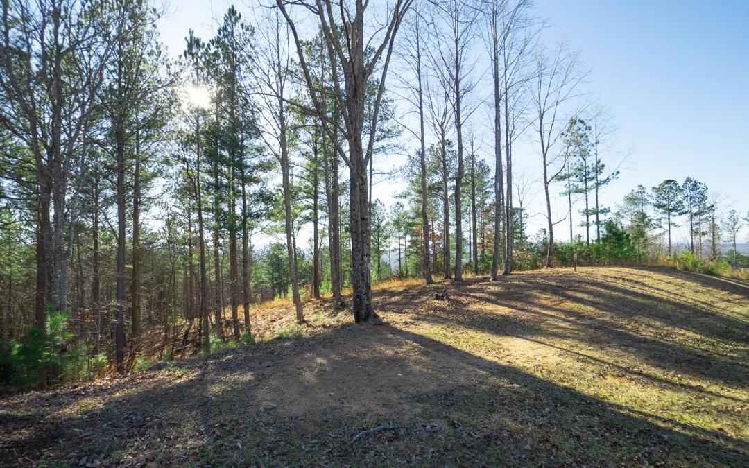 Lt253 Ridge Pointe Way Blairsville, GA 30512 - Photo 3 of 4 Additional View
