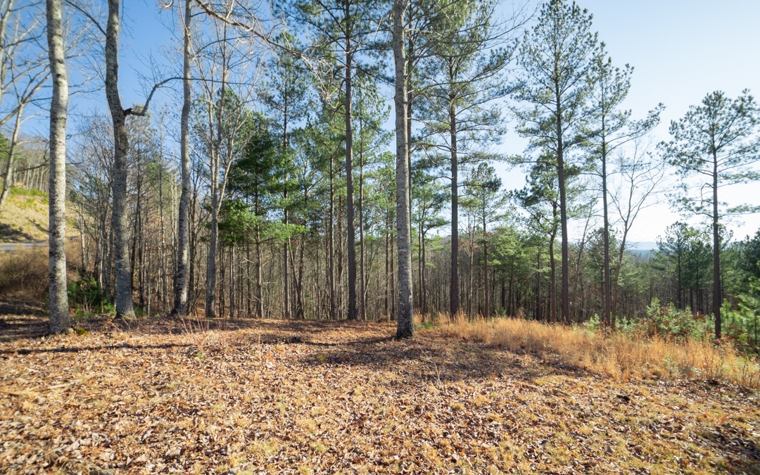 Lt253 Ridge Pointe Way Blairsville, GA 30512 - Photo 4 of 4 Additional View