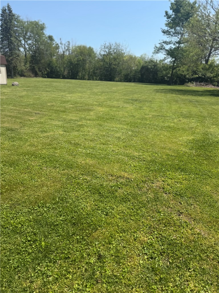 5840 Pitchin Road South Springfield, OH 45502 - Photo 7 of 18 Expansive green yard with mature trees offers serene outdoor living.