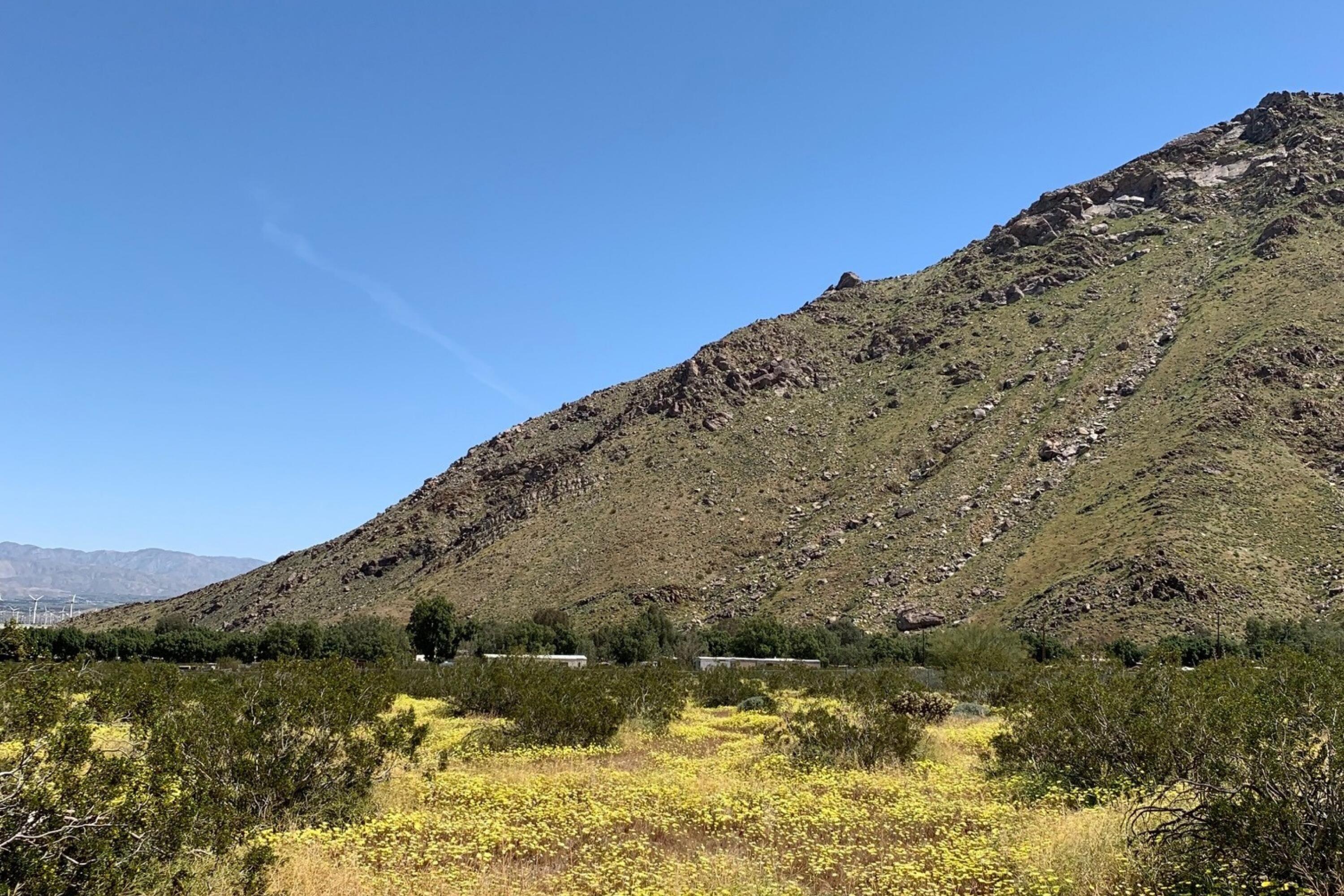 16 Lazy C Ranch Road Palm Springs, CA 92262 - Photo 1 of 10 1