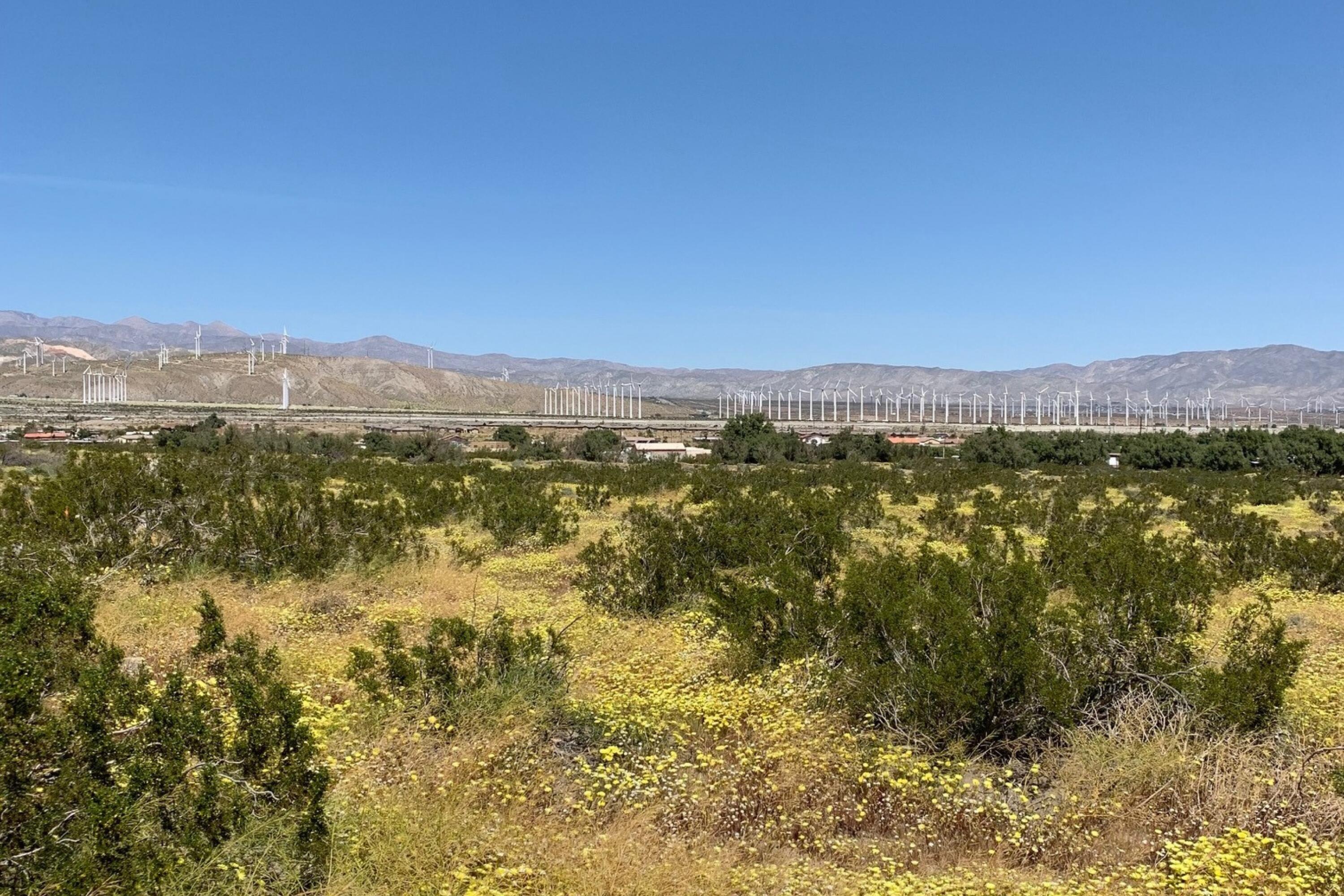 16 Lazy C Ranch Road Palm Springs, CA 92262 - Photo 6 of 10 2