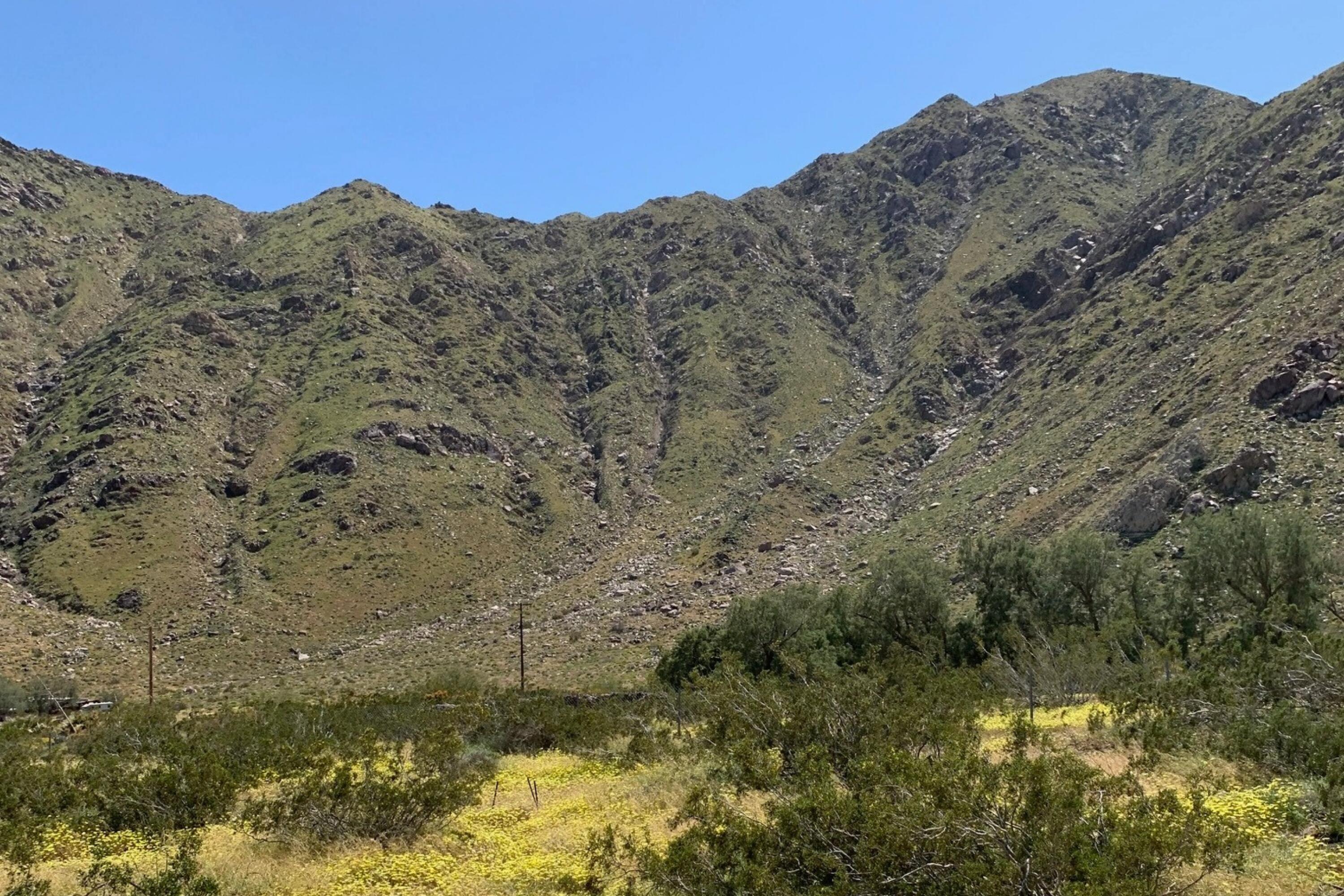 16 Lazy C Ranch Road Palm Springs, CA 92262 - Photo 8 of 10 4