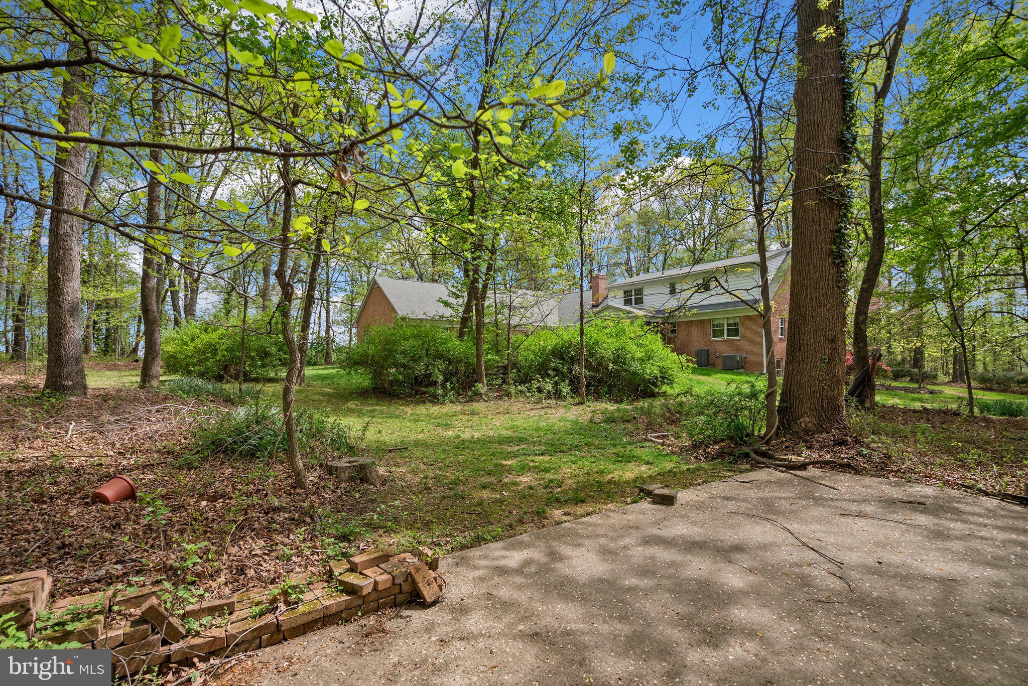 4811 Olney Laytonsville Road Olney, MD 20832 - Photo 52 of 63 a view of a backyard with large trees