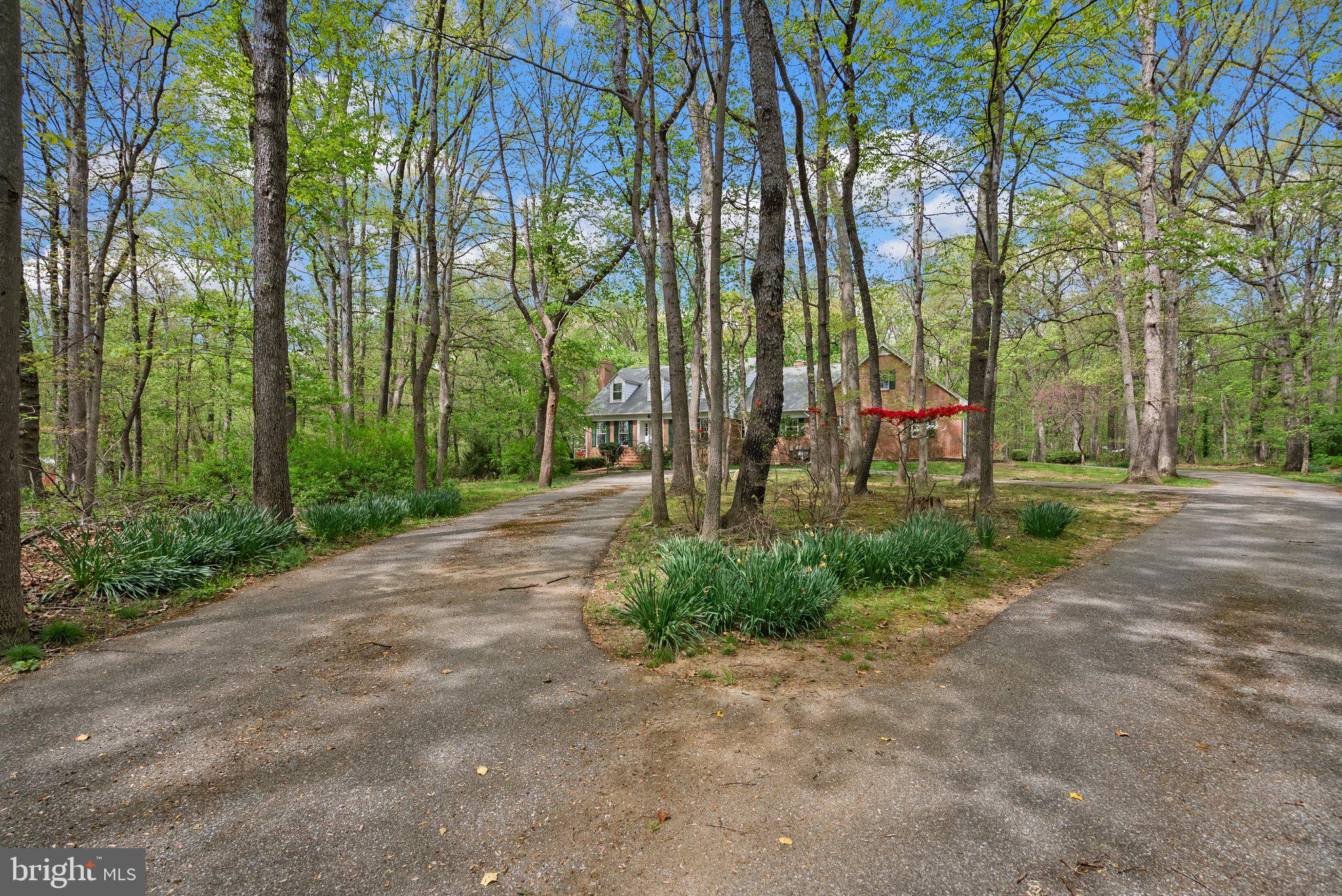 4811 Olney Laytonsville Road Olney, MD 20832 - Photo 58 of 63 a view of a park with large trees