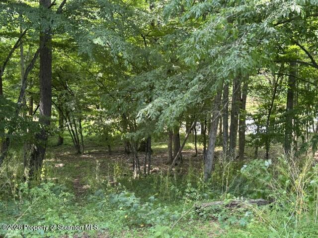 112 Bill's Lane Nicholson, PA 18446 - Photo 38 of 44 IMG_8033