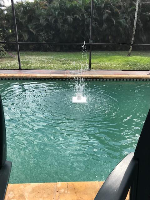 10315 Camelback Lane Boca Raton, FL 33498 - Photo 2 of 37 MATURE ARECA PALM TREES FOR PRIVACY !