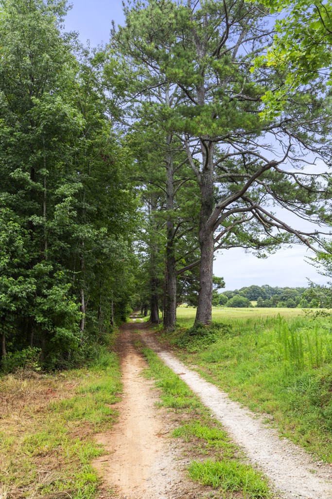 554-556 Poplar Springs Road Walhalla, SC 29691 - Photo 13 of 34