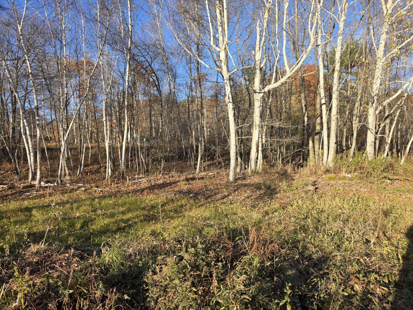 0 Intervale Road Jay, ME 04239 - Photo 5 of 6