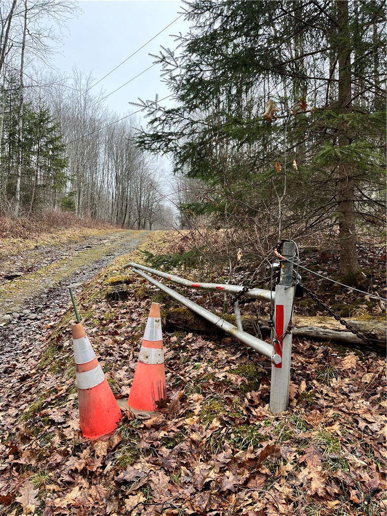 0 State Highway Deposit, NY 13754 - Photo 23 of 24 Gate at beginning of private drive
