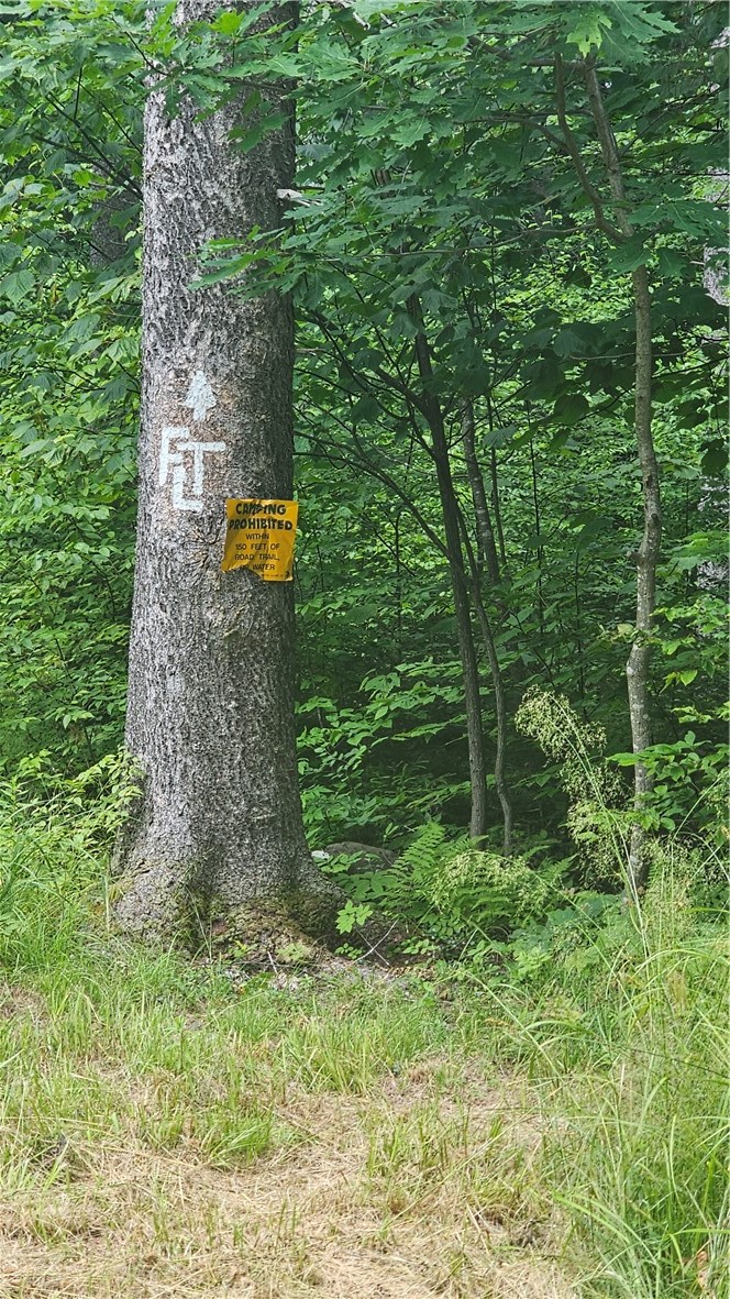 0 State Highway Deposit, NY 13754 - Photo 4 of 24