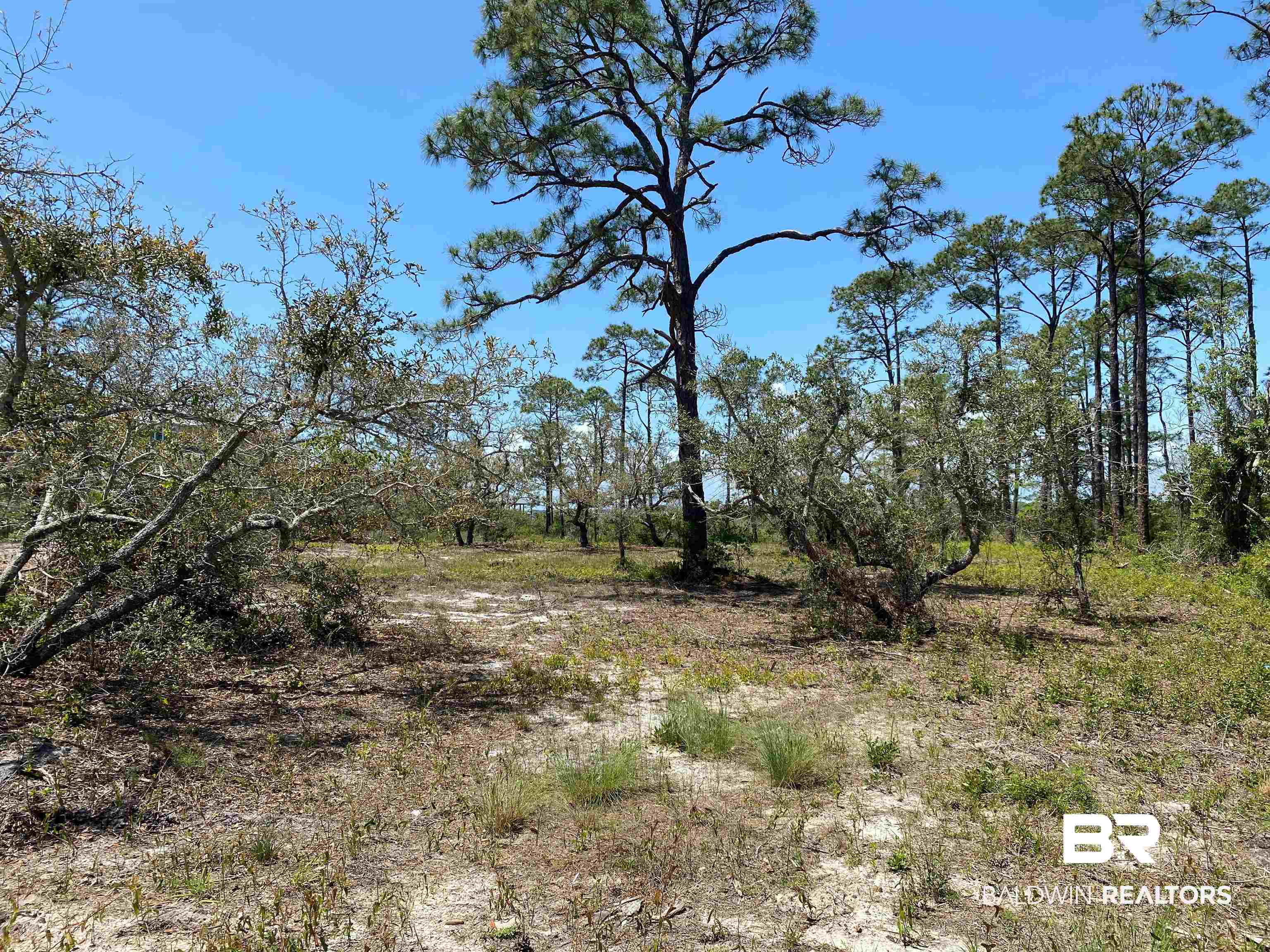Tbd River Road Pensacola, FL 32507 - Photo 4 of 10