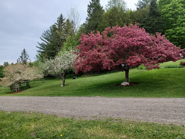 $545,000 | 100 Derby Gore Road, West Charleston, VT 05872