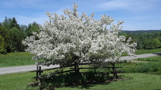 $545,000 | 100 Derby Gore Road, West Charleston, VT 05872