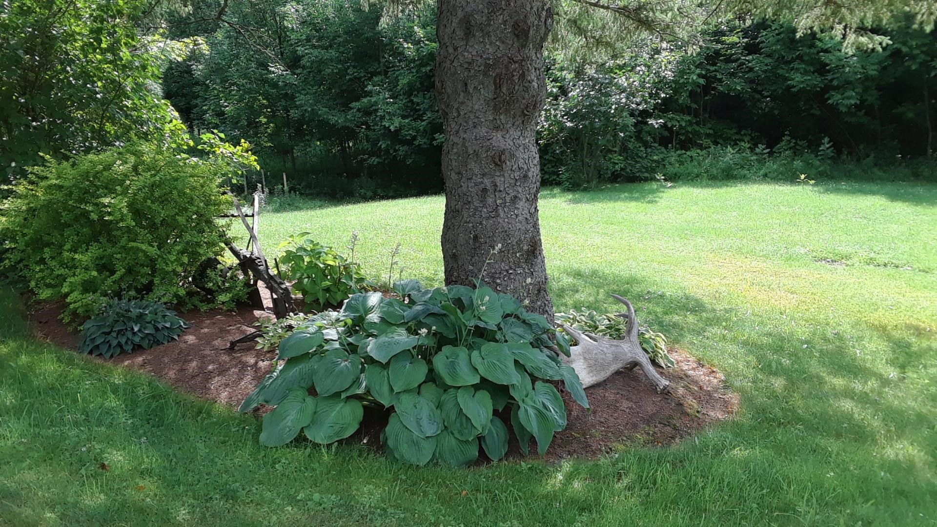 100 Derby Gore Road West Charleston, VT 05872 - Photo 3 of 14