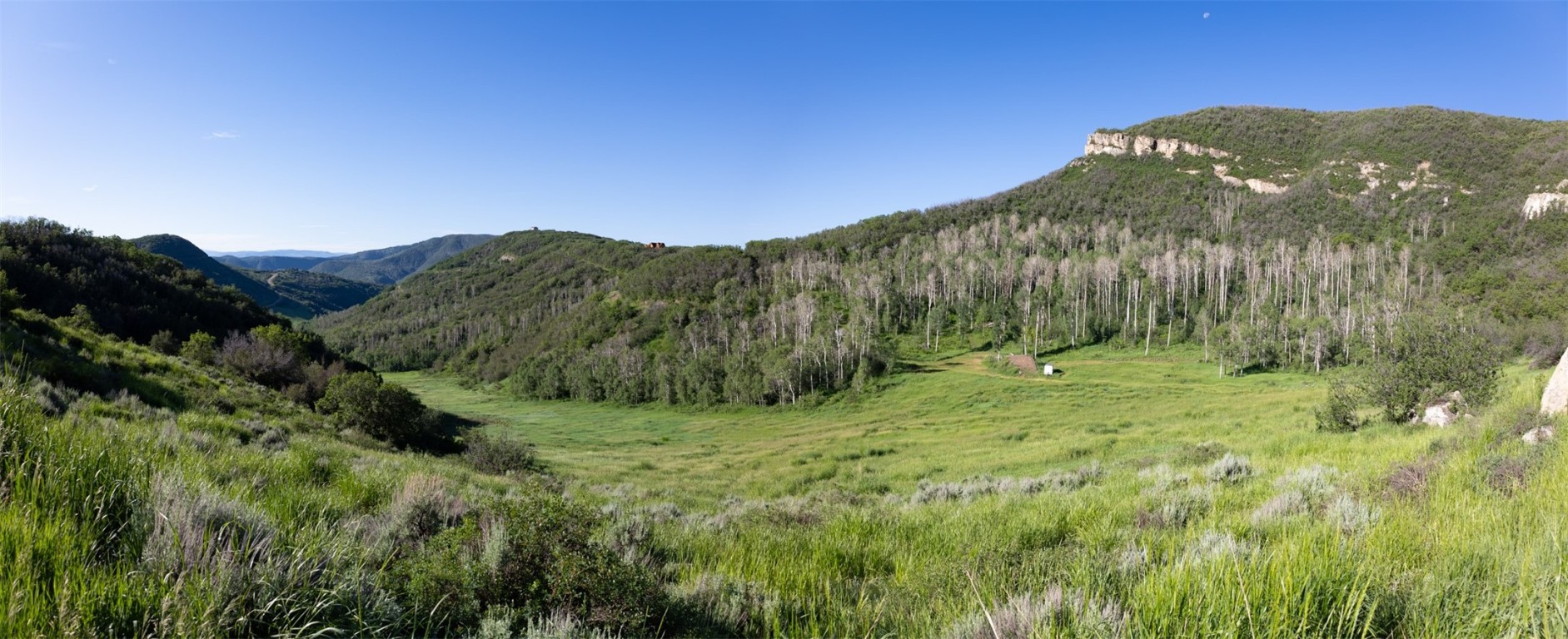 Tbd Grouse Ridge Lane Steamboat Springs, CO 80487 - Photo 11 of 33 a view of a lush green outdoor space with a mountain in the background