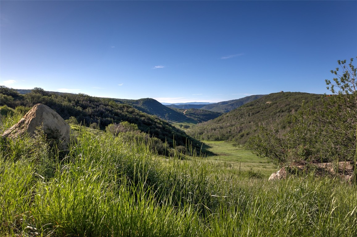 Tbd Grouse Ridge Lane Steamboat Springs, CO 80487 - Photo 14 of 33 a view of a lush green forest with lots of bushes