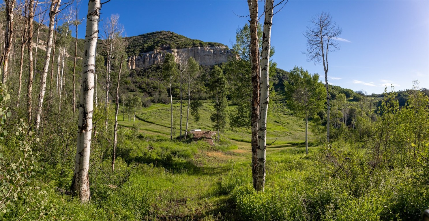Tbd Grouse Ridge Lane Steamboat Springs, CO 80487 - Photo 29 of 33 a view of a garden