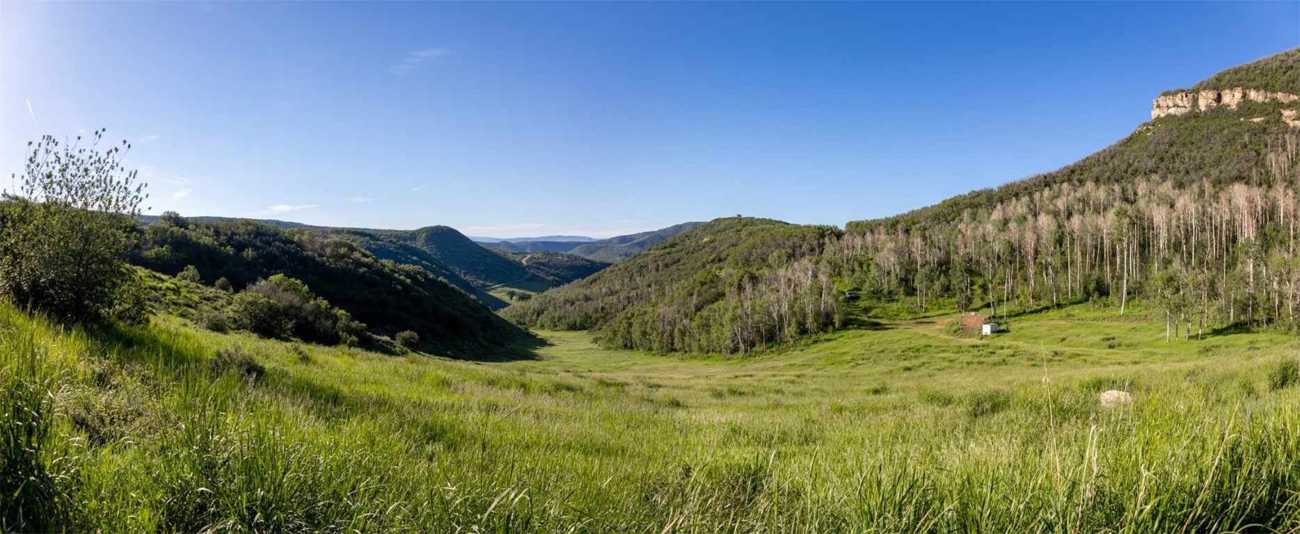 Tbd Grouse Ridge Lane Steamboat Springs, CO 80487 - Photo 30 of 33 a view of lush green field