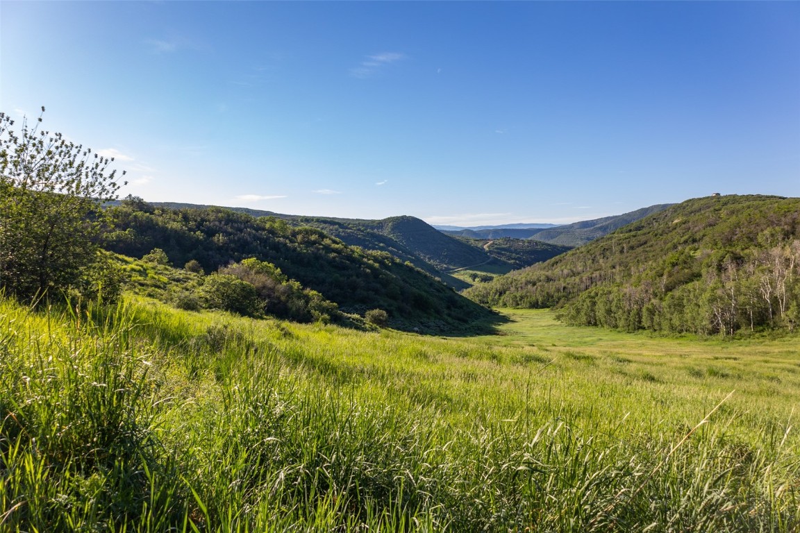 Tbd Grouse Ridge Lane Steamboat Springs, CO 80487 - Photo 31 of 33 a view of a field with a field