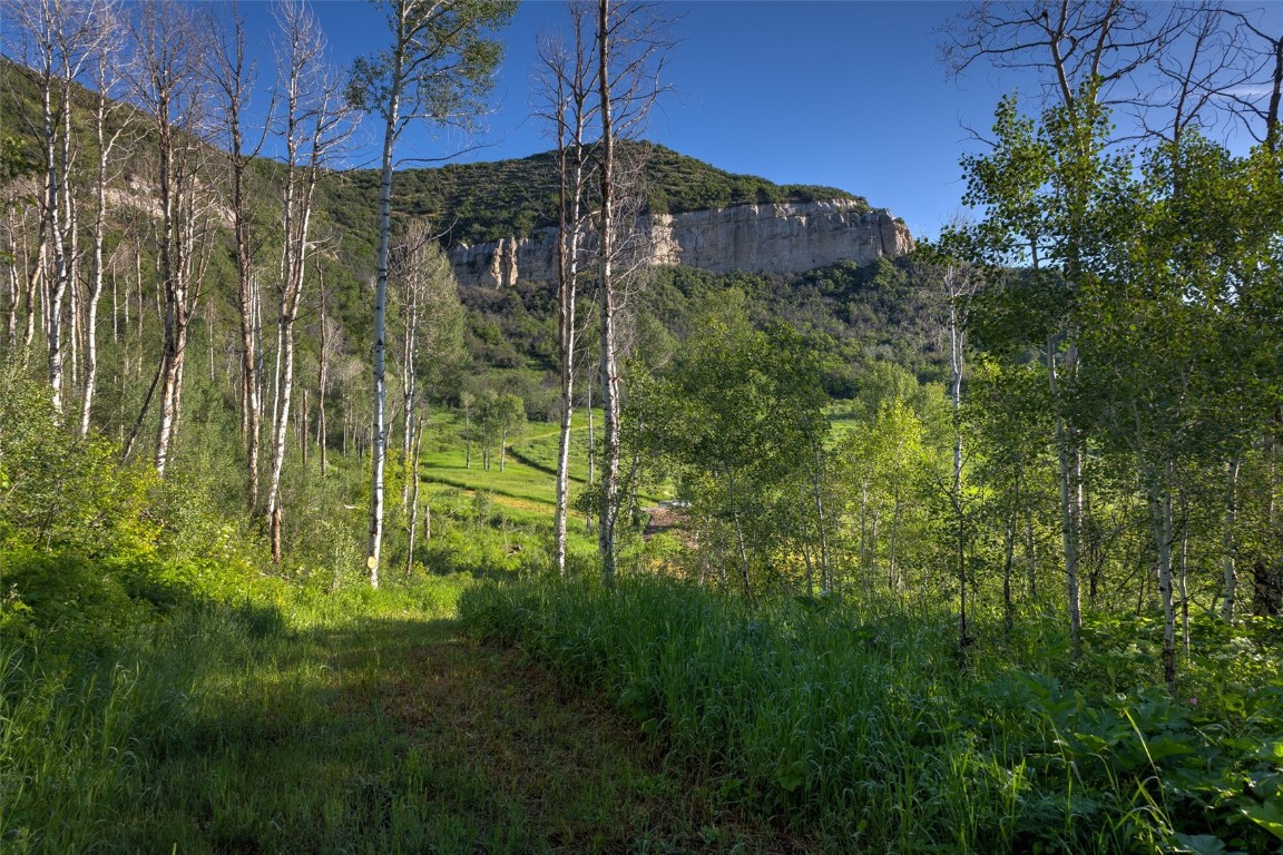 Tbd Grouse Ridge Lane Steamboat Springs, CO 80487 - Photo 4 of 33 a view of a yard