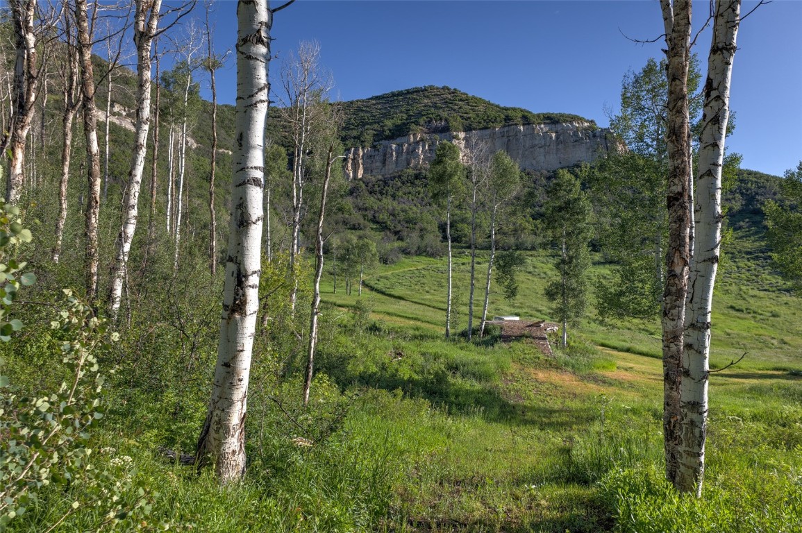 Tbd Grouse Ridge Lane Steamboat Springs, CO 80487 - Photo 8 of 33 a view of a garden