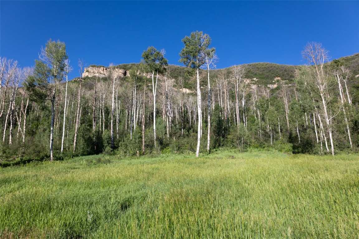 Tbd Grouse Ridge Lane Steamboat Springs, CO 80487 - Photo 9 of 33 a view of a city