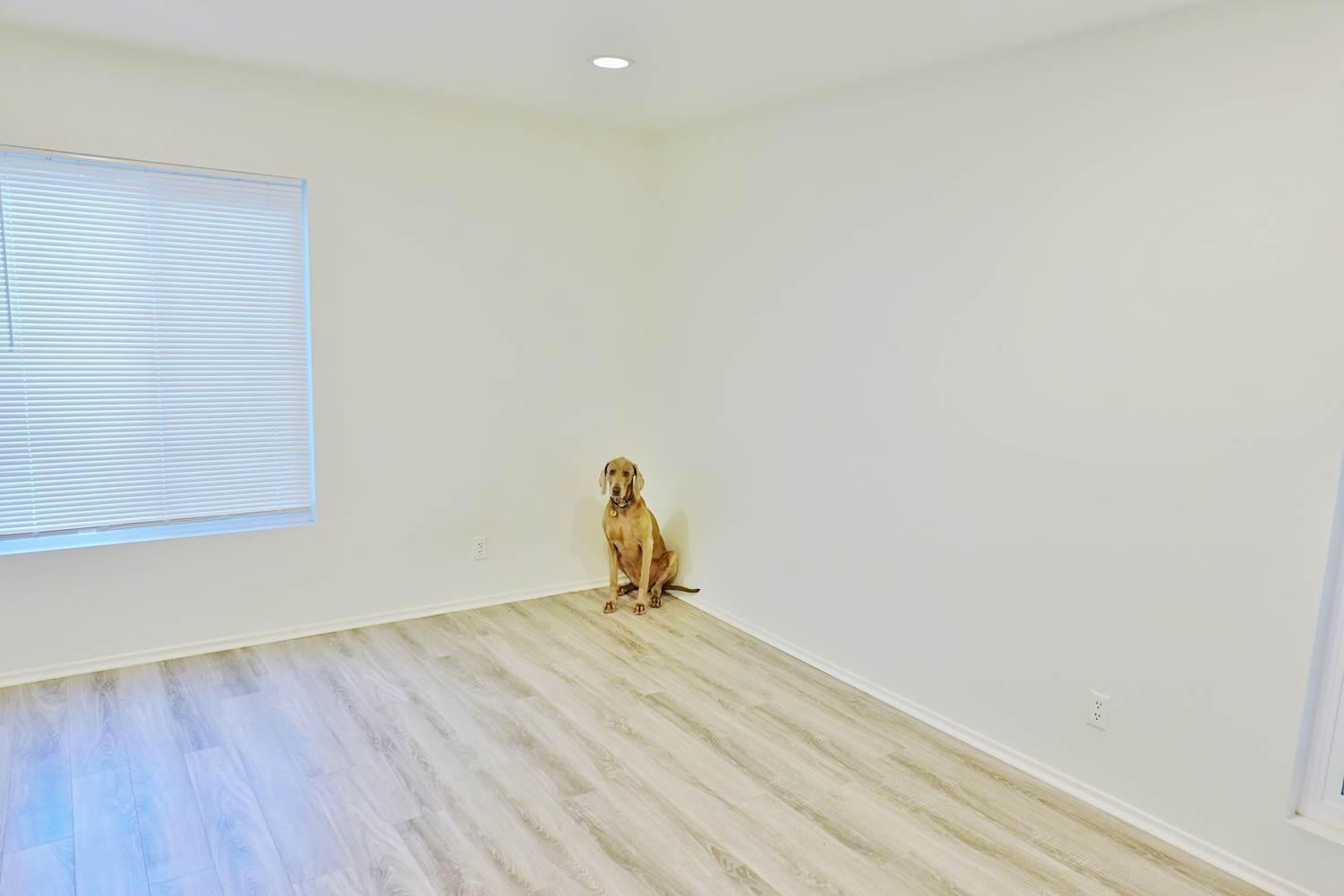 47 Dearborn Place, Unit 18 Goleta, CA 93117 - Photo 30 of 42 20251018200216087079000000-o